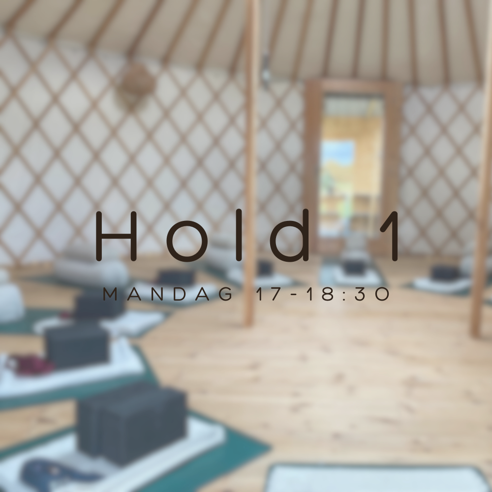 Yin Yoga hold 1, foråret 2026