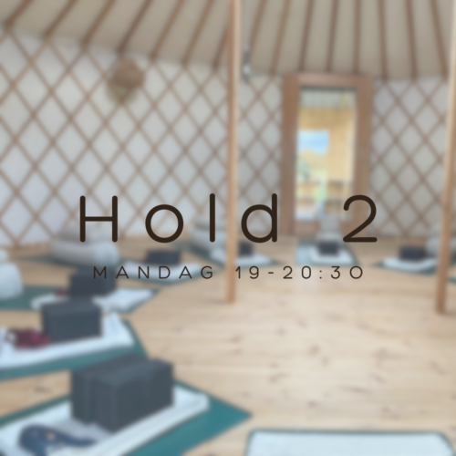 Yin Yoga hold 2, foråret 2026